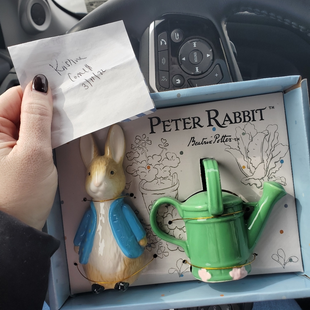 Peter Rabbit salt and pepper shakers